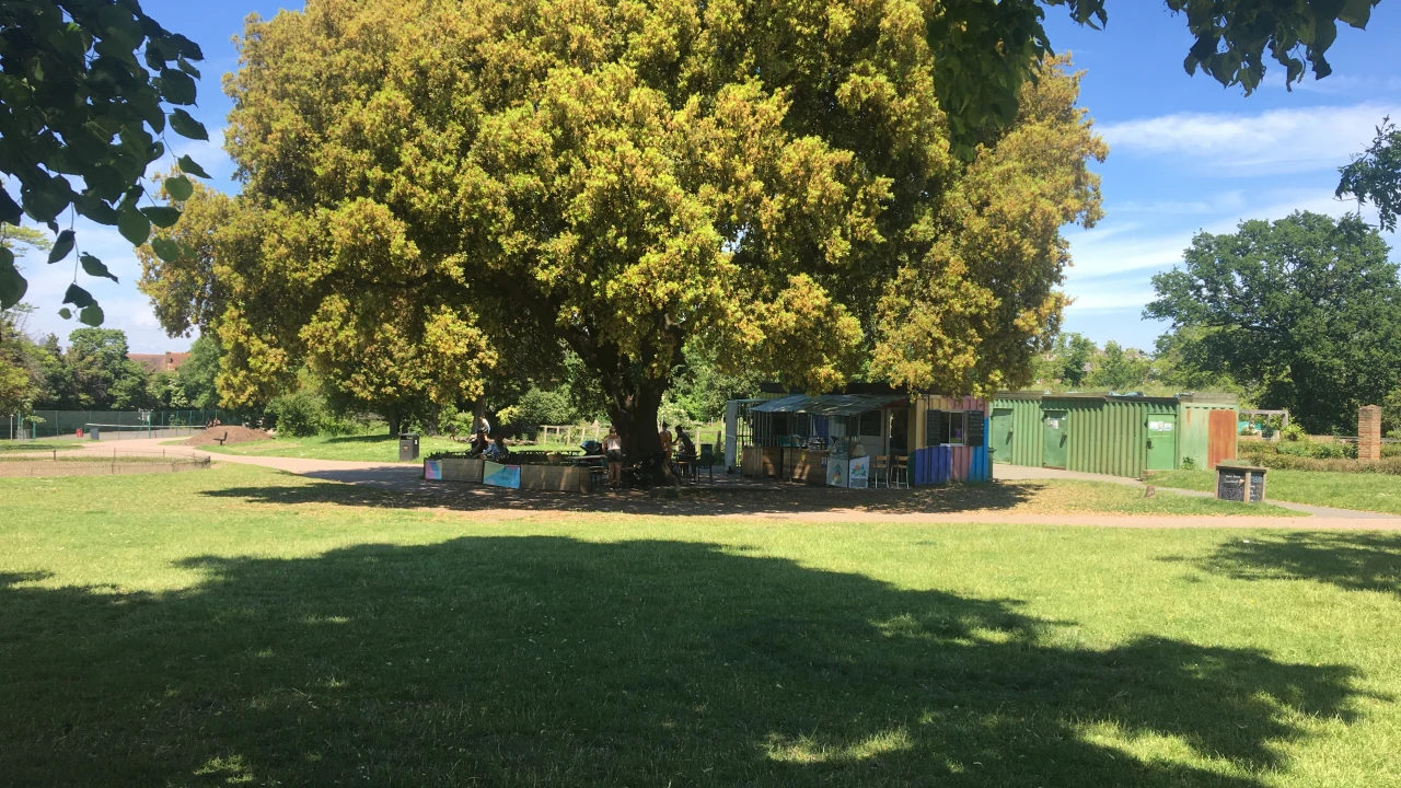 Mountsfield Park Cafe